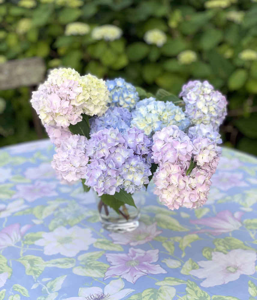 Blue and purple hydrangeas on a colorful tablecloth