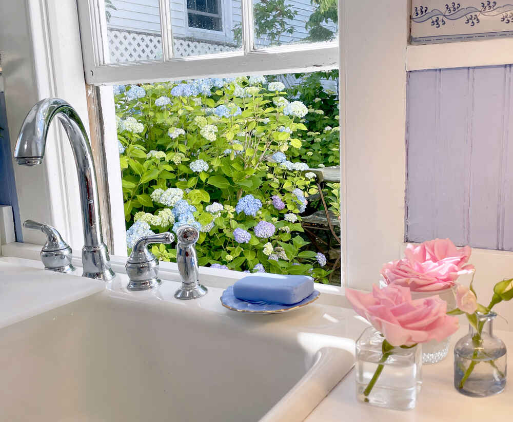 Hydrangeas through Alexandra's kitchen window