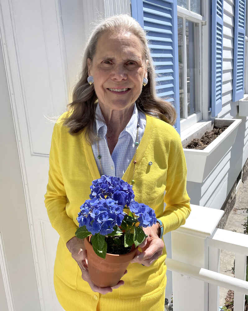 Alexandra holding a blue hydrangea in a pot