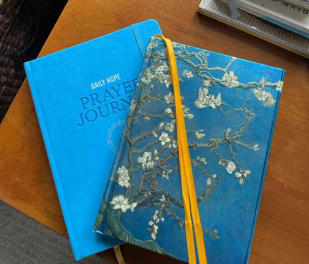 Two blue and yellow journals