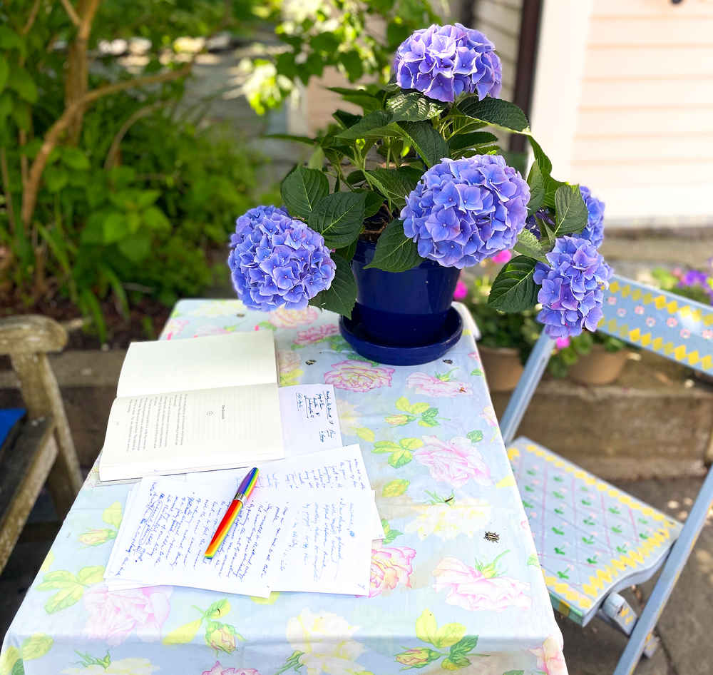 Alexandra's writing desk in the garden, with hydrangea in a pot on the table